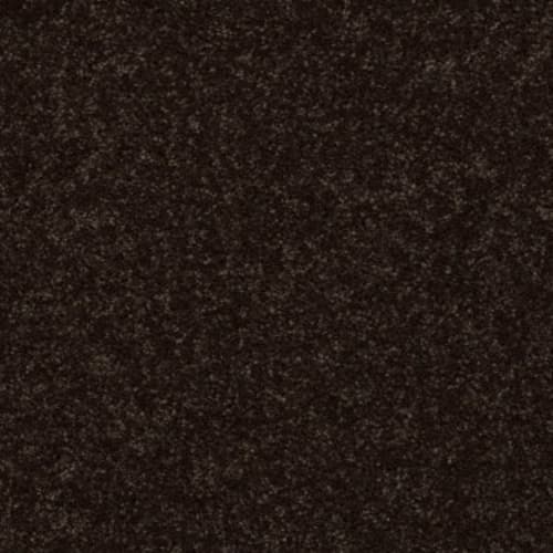 Full Court 15' in Coffee Bean Carpet