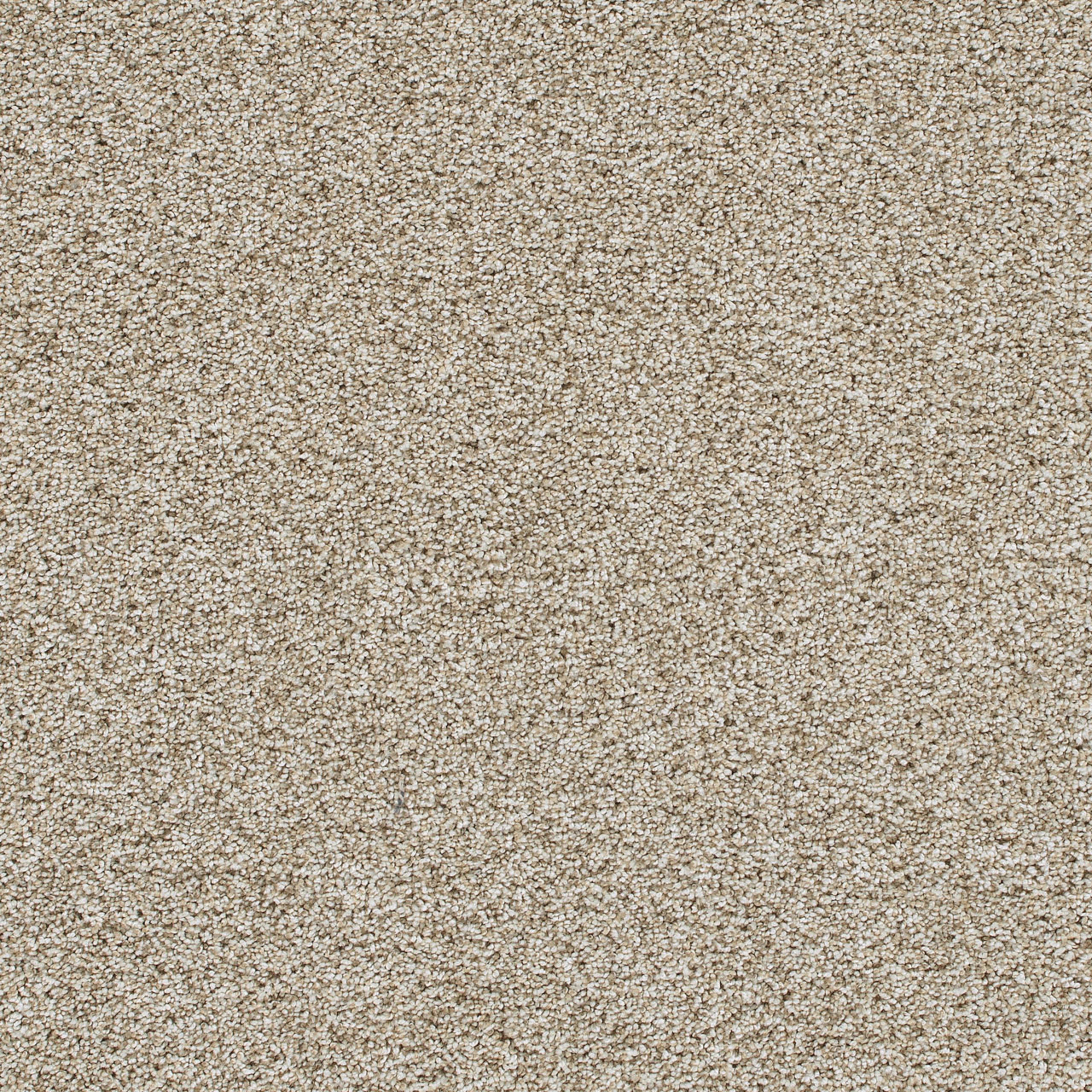 Reflections III in Seashells Carpet