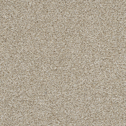 Reflections III in Seashells Carpet