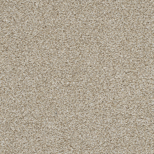 Reflections III in Seashells Carpet