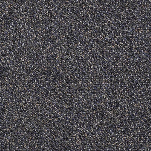 Highrise in Studio Loft Carpet