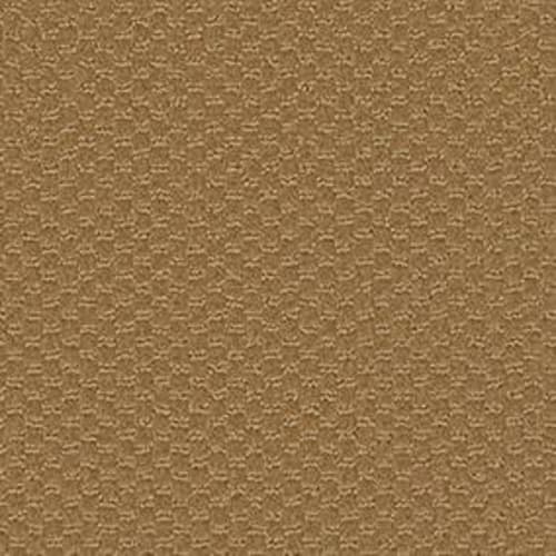 Latest Trend in Gold Rush Carpet