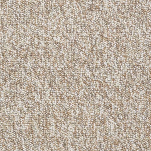 Franchise in Haystack Carpet