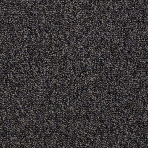 Franchise in Black Diamond Carpet