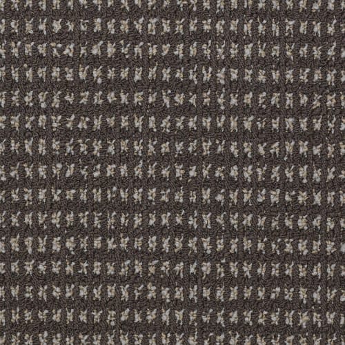 Today's Style in Bark Carpet