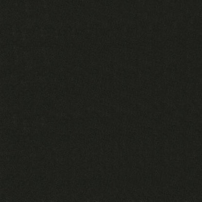 Emphatic II 30 in Coal Mine Carpet