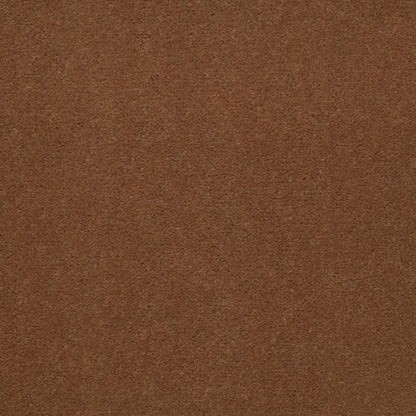 Emphatic II 36 in Canyon Rim Carpet