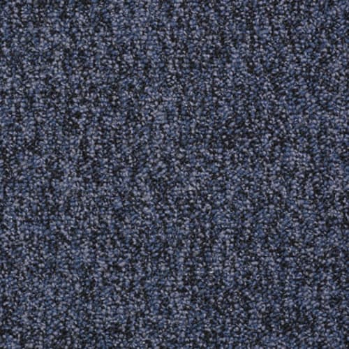 Sound Advice Bl in Advocate Carpet