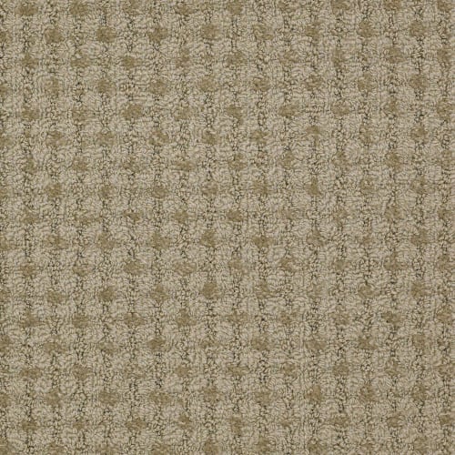 Metro Life in Colonial Distri Carpet