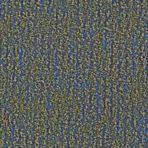 Speak Out in High Note Carpet