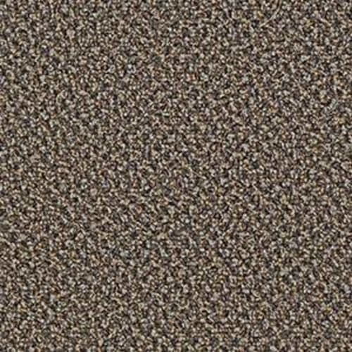 Speak Easy in Low Key Carpet