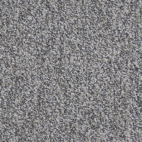 Rush Delivery in Moving On Carpet