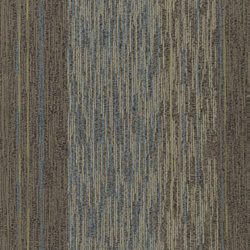 Unscripted in Hall Meeting Carpet