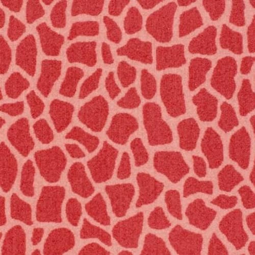 Giraffe in Girly Giraffe Carpet