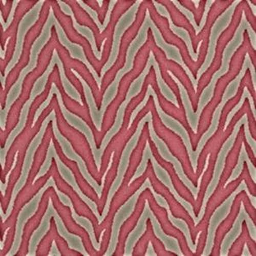 Zesty Zebra in Wild At Heart Carpet