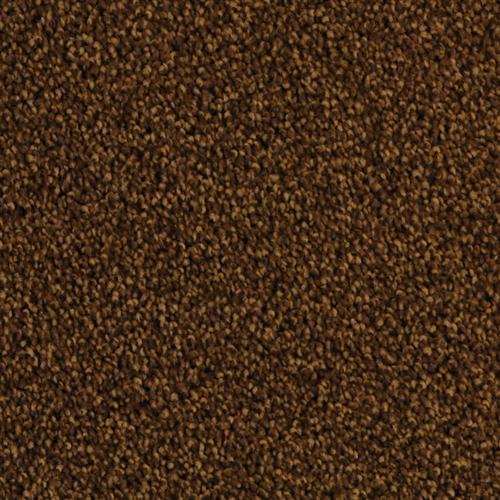 Delight 5453 in 25791 Yucatan   Carpet Flooring | Dixie Home
