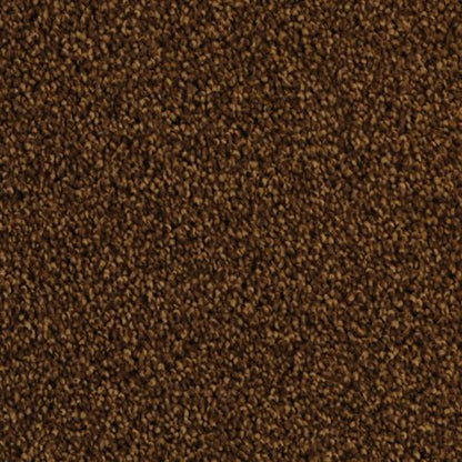 Delight 5453 in 25791 Yucatan   Carpet Flooring | Dixie Home