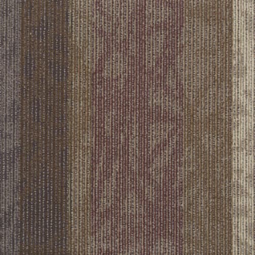 Static in Echo Carpet