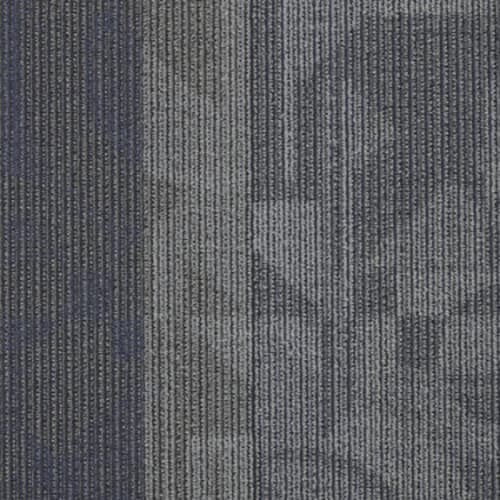 Feedback in Amplifier Carpet