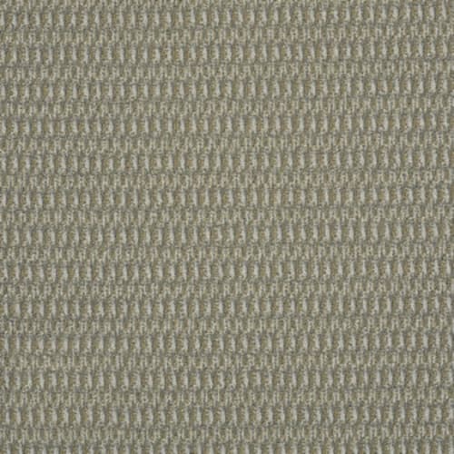 In Harmony in On Tone Carpet