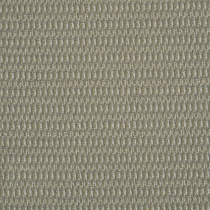 In Harmony in On Tone Carpet