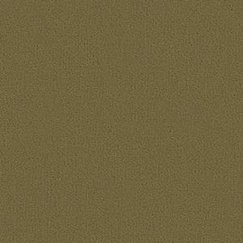 Color Accents Bl in Aloe Carpet