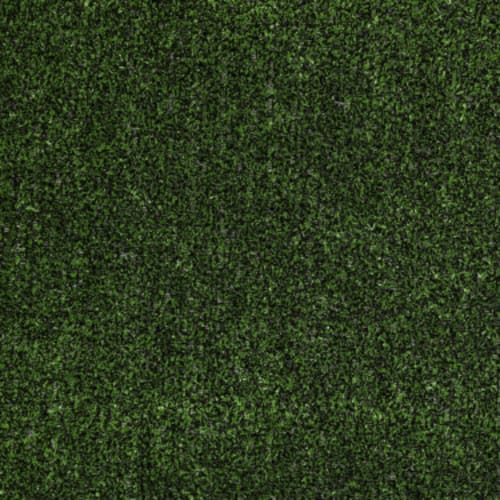 Tactic (T) 6' Rr in Holly Leaf Carpet