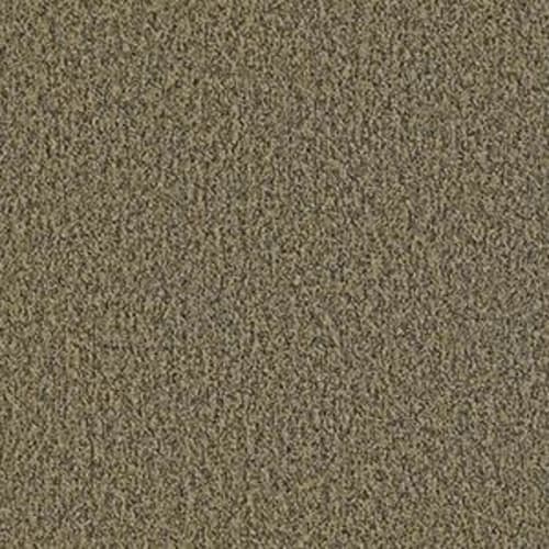 Multiplicity in Abundance Carpet