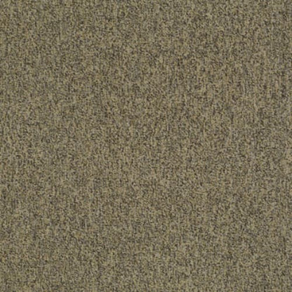 MULTIPLICITY 24X24 in Abundance Carpet