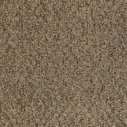 Gardenscape (T) in Rustic Copper Carpet