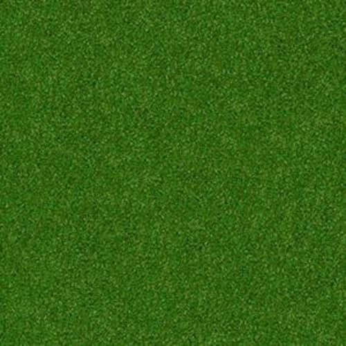 Cabana (T) in Backyard Carpet