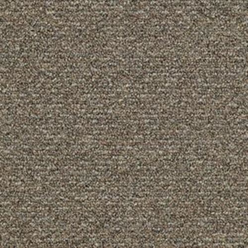 Natural Path in Mineralite Carpet