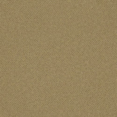 Future Generations in Doers Carpet