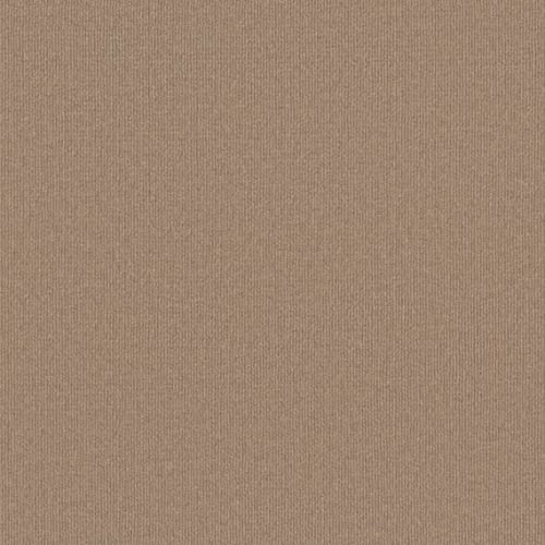 Backdrop 2 12 in Natural Finish Carpet