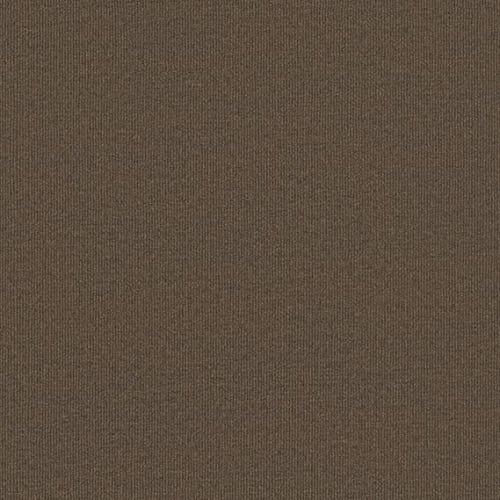Backdrop I 12
