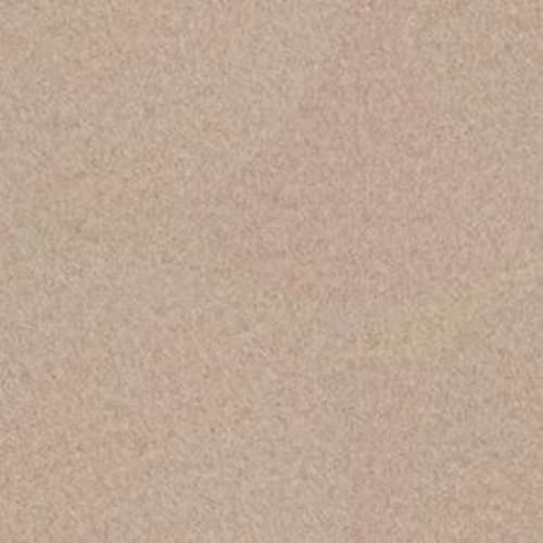 Softscape II 6 in Natural Finish Carpet
