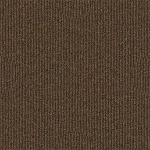 Summer Stock in Boardwalk Carpet