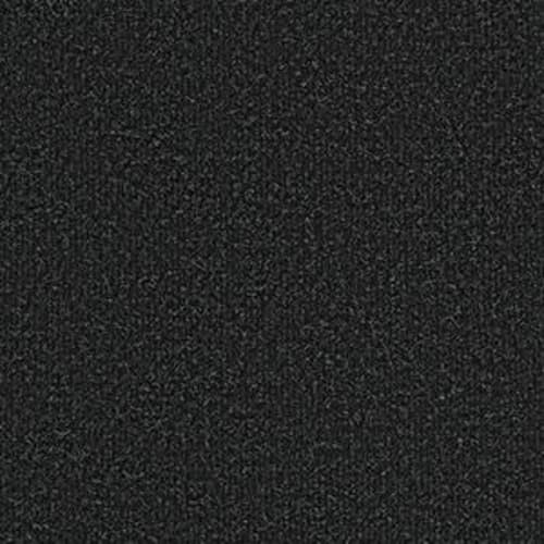 SUCCESSIONII BL in After Dark Carpet