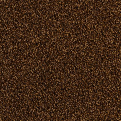Cozy 5471 in 25791 Yucatan   Carpet Flooring | Dixie Home