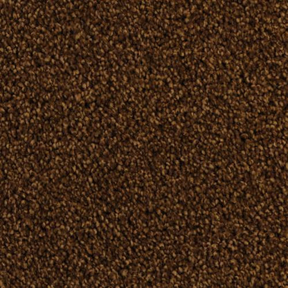 Cozy 5471 in 25791 Yucatan   Carpet Flooring | Dixie Home