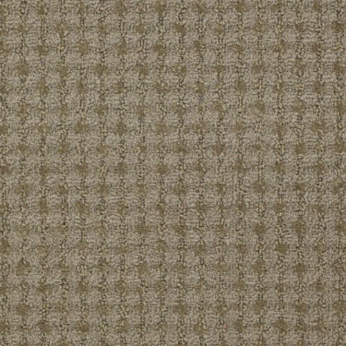 Live in Joy Carpet