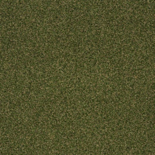 Launch