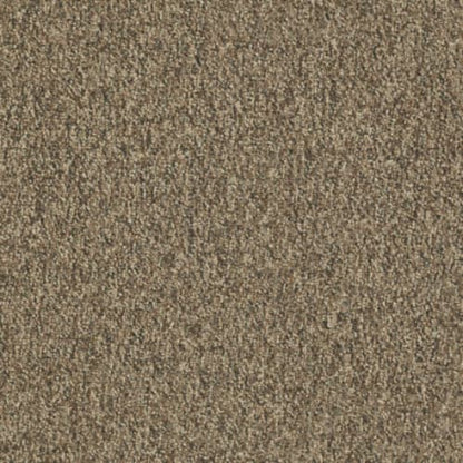 Franchise II 28 In Carpet Flooring