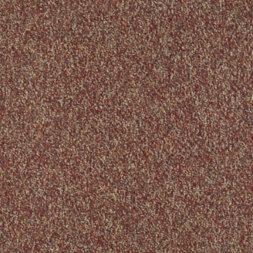 Franchise II 28 in Raisinberry Carpet