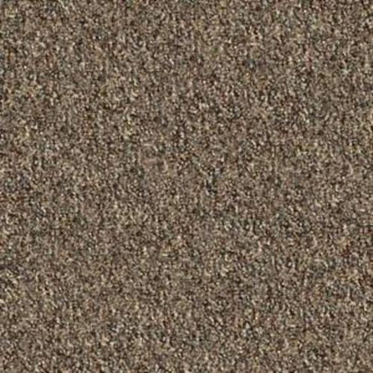 Franchise II 26 in Bedrock Carpet