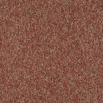 Franchise II 26 in Raisinberry Carpet