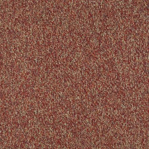 Franchise II 26 in Raisinberry Carpet