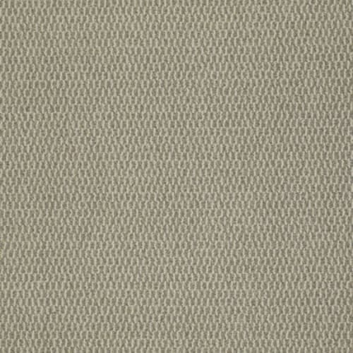 Remix in Fine Tune Carpet