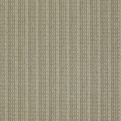 Revamp in Amend Carpet