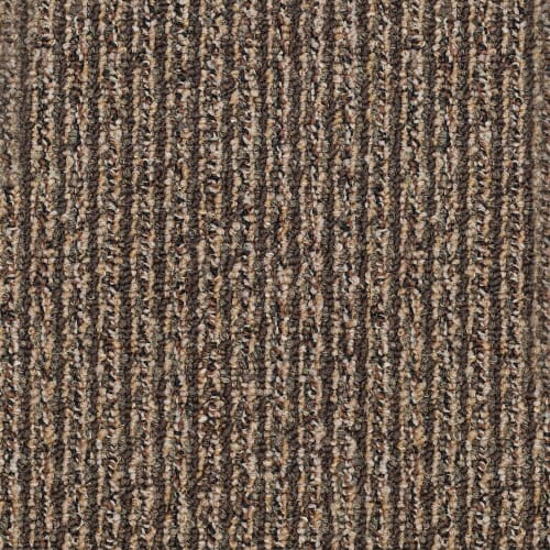 New Statement in Dispatch Carpet